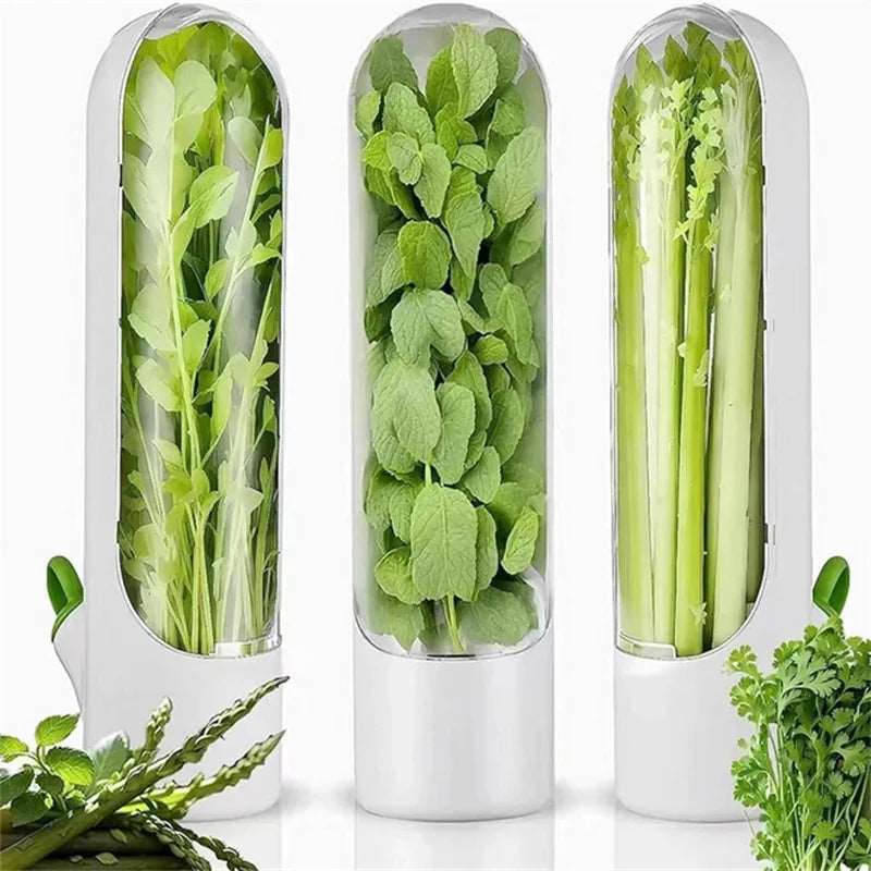 Herb Keeper Fresh Preservation Bottle