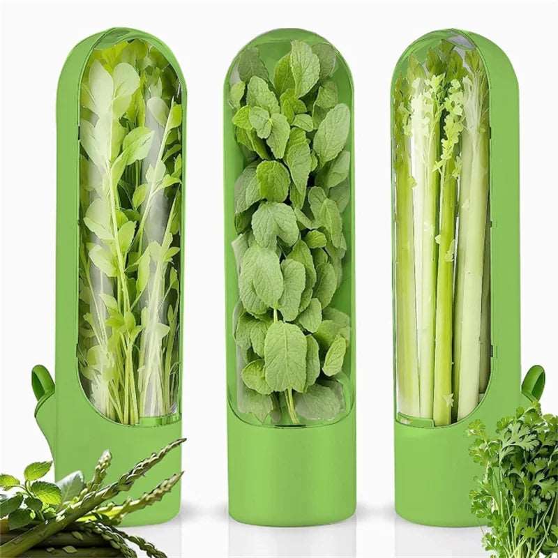 Herb Keeper Fresh Preservation Bottle